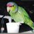 Lydia L. Padgett's profile image