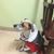 Tamala Holland Lane's profile image