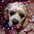 Lisa Heske's profile image