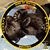 Melissa M Bigler's profile image
