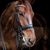 Dorie Trapp Forte's profile image