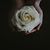 Cherri Hohnke's profile image