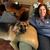 Tracy Gorham's profile image