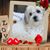 Lois Duff Tyree's profile image