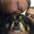 Mike Freeman's profile image