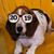 Rachel Bernaby Couture's profile image