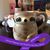 Sarah Lanum's profile image