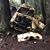 Brett Handley's profile image