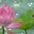 Linda Fuhr's profile image
