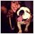 Dri Tockey's profile image