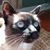 Diana Zinser's profile image