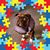 Paul Ackel's profile image