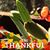 Donna Singleton's profile image