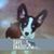 Pam Sherrick's profile image