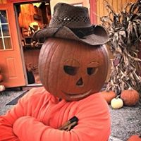 Kelly Fritz McCombs's profile image