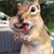 Jeffrey Wood's profile image