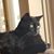 Heather Ponchetti Daly's profile image