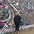 Abbie Simone's profile image