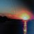 Rosalyn Carswell's profile image