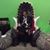 Erick Almaguer's profile image