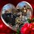 LeAnn Strailey's profile image