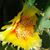Andrew Talo's profile image