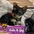 Christy-Anne Arancibia's profile image