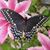 Ctina Lynn's profile image