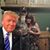 Danny Pezel-lonewolf's profile image