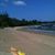 Linda Pollock's profile image