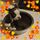 Penny M.'s profile image
