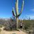 Diane Gunderson Lundberg's profile image