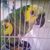 Debbie Wade's profile image