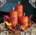 Patricia Stroup's profile image
