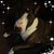 Cheryl Dahms Niehoff's profile image