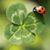 Janine Aldana's profile image