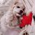 Terri Torneden-Durgan's profile image