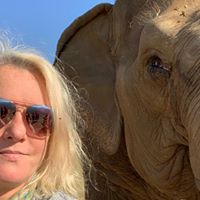 Casey Taylor's profile image