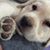 Constance Hall's profile image