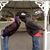 Goleather Ellis's profile image