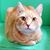 Julie Miller Clark's profile image