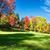 Cassadaga CountryClub's profile image