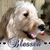 Dalene Bartle's profile image