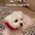 Betty Perdue McCart's profile image