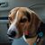 Charles W Phillips's profile image