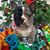 Lori E Manuel's profile image