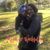 Amber Losher's profile image