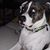 Chuck Van Meter III's profile image