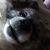 Annette Nelson's profile image