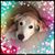 Maureen Wood's profile image